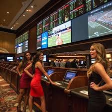 6677bet