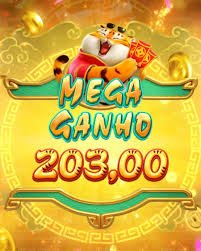 6677bet